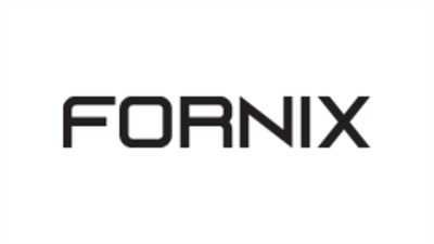 Fornix