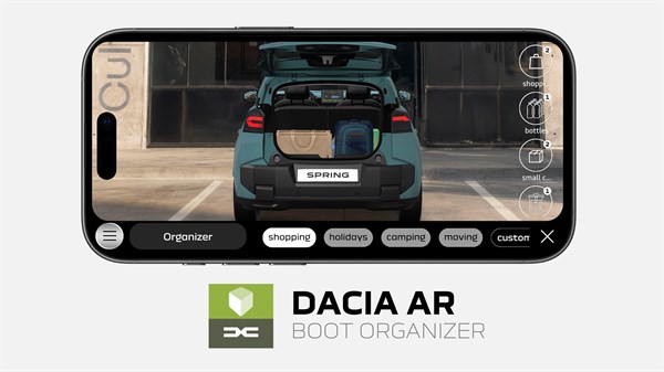 Dacia boot organiser
